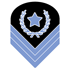Habilidoso